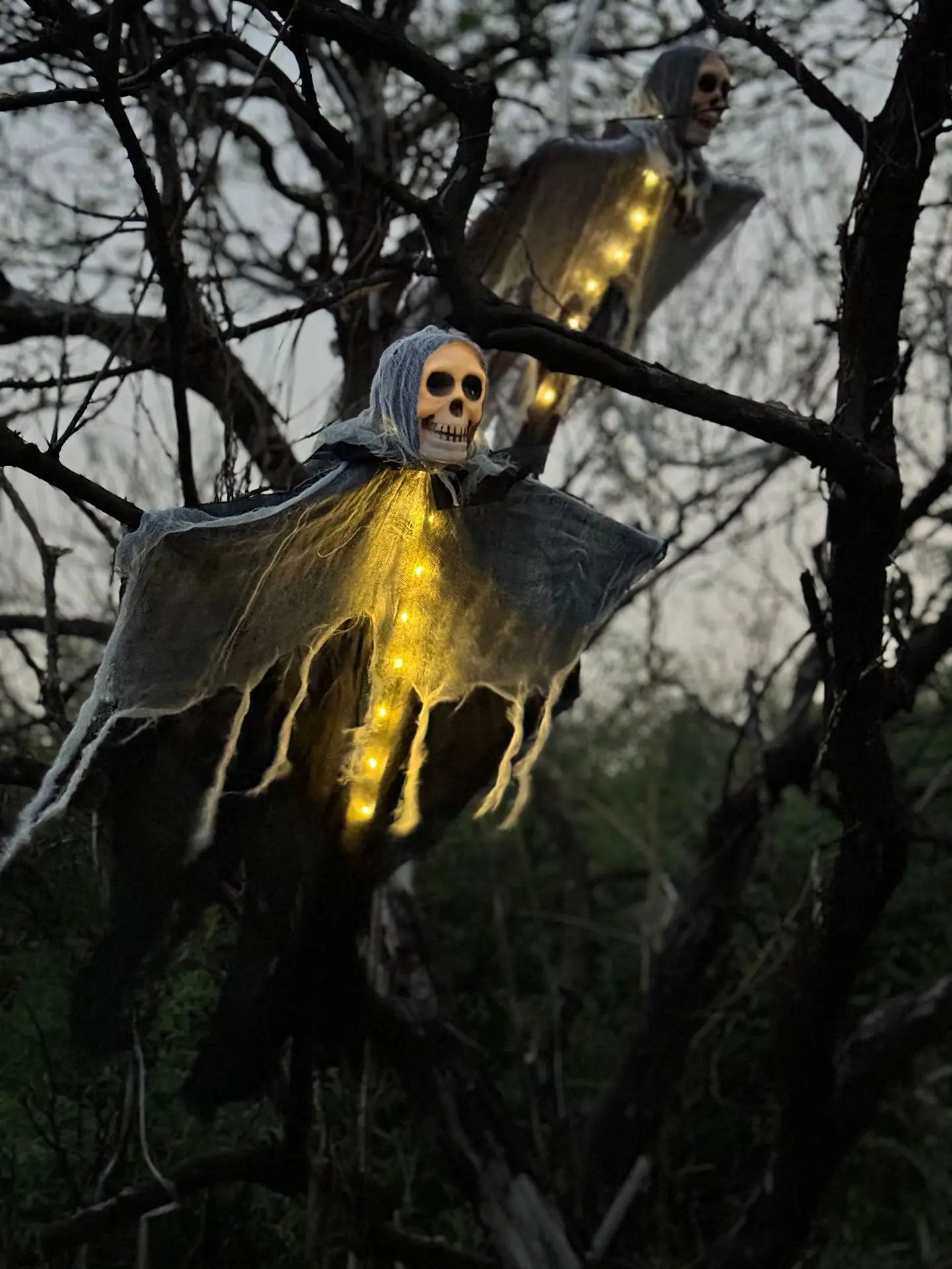 El Guardián Espectral que Hará que Todos se Detengan Frente a tu Puerta