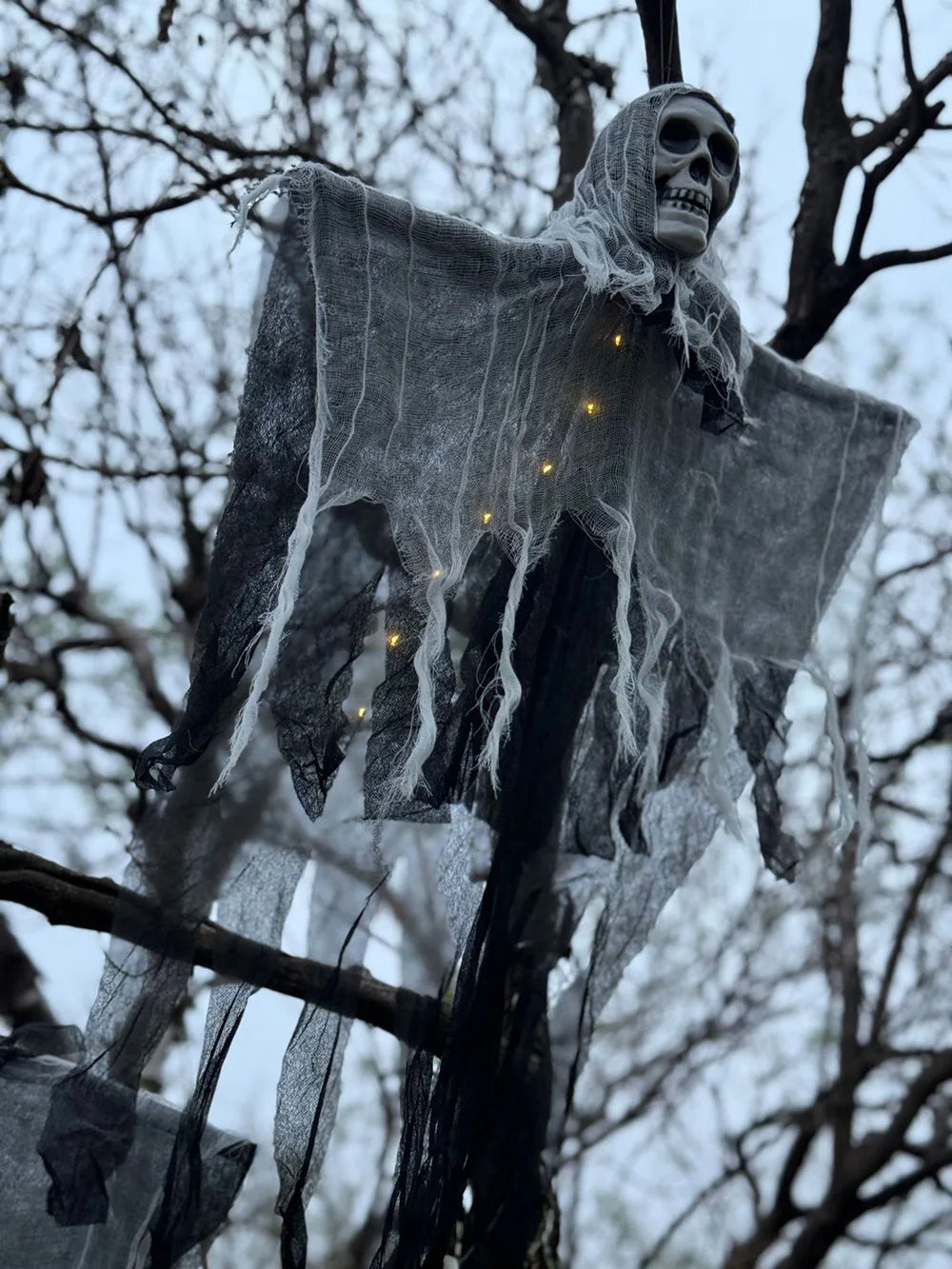 El Guardián Espectral que Hará que Todos se Detengan Frente a tu Puerta